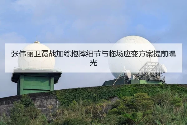 张伟丽卫冕战加练抱摔细节与临场应变方案提前曝光 - BAJIESPORTS